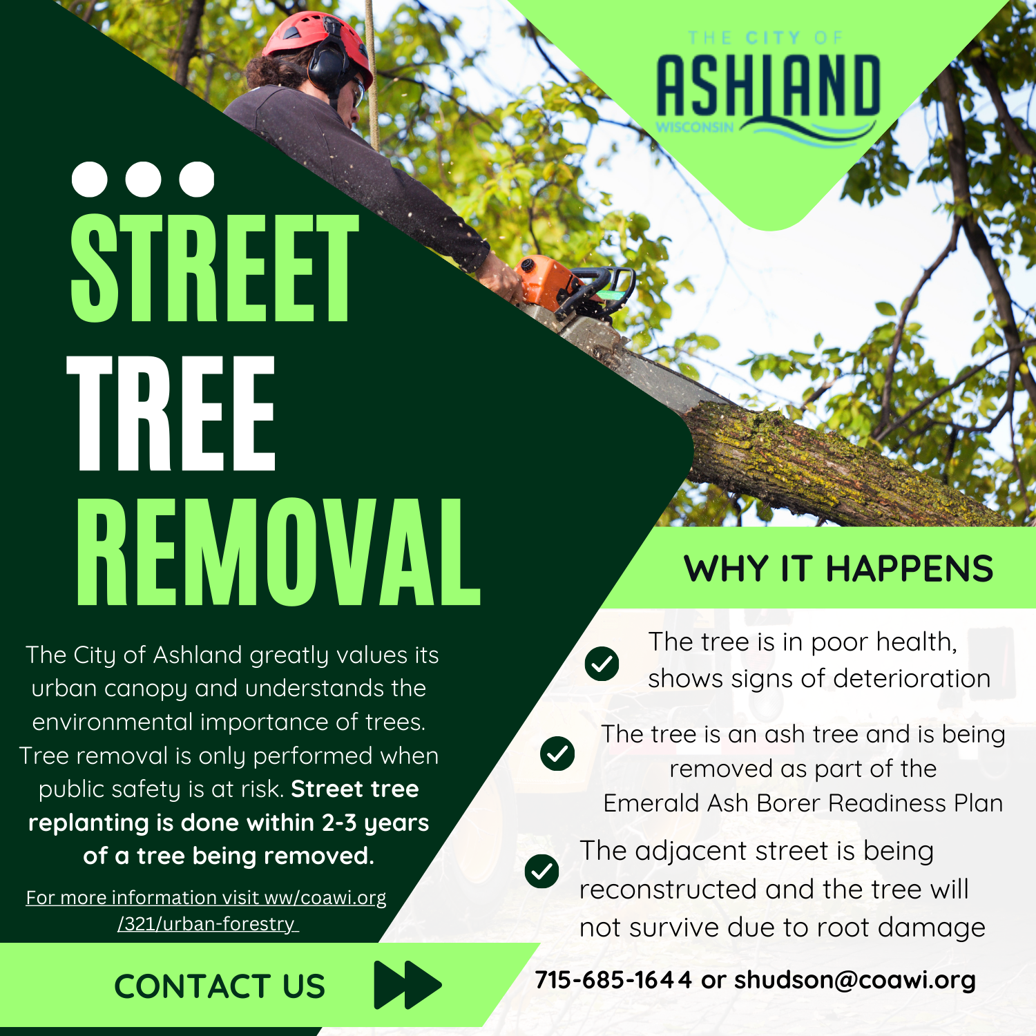 2024 Spring Tree Removal